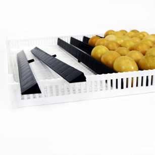 Plateau d'incubation FLX80 avec 9 séparateurs amovibles