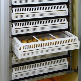 Plateau d'incubation FLX80 avec 9 séparateurs amovibles