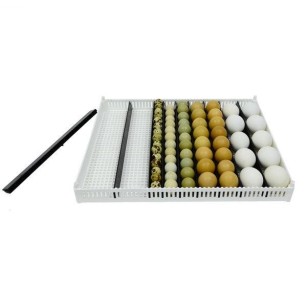 Plateau d'incubation FLX80 avec 9 séparateurs amovibles