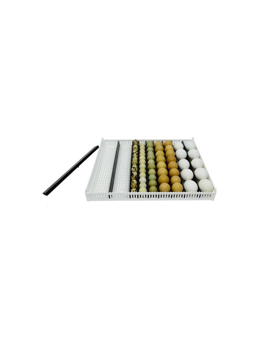 Plateau d'incubation FLX80 avec 9 séparateurs amovibles