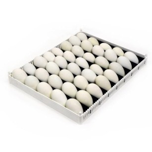 Plateau d'incubation FLX80 avec 9 séparateurs amovibles
