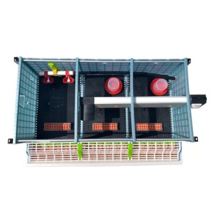 Poussinière 5 étages 25 cm - Eggceterra Élevage Optimal