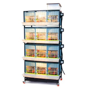 Poussinière 4 Étages 40cm | Élevage Eggceterra