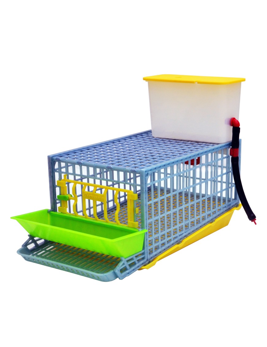 Cage Caille Pondeuse Jumbo 1 Section - Eggceterra
