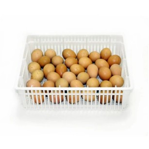 Panier d'éclosion 35 œufs CS35Y - Eggceterra Élevage