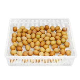 Panier d'éclosion 80 œufs CS80Y - Eggceterra élevage
