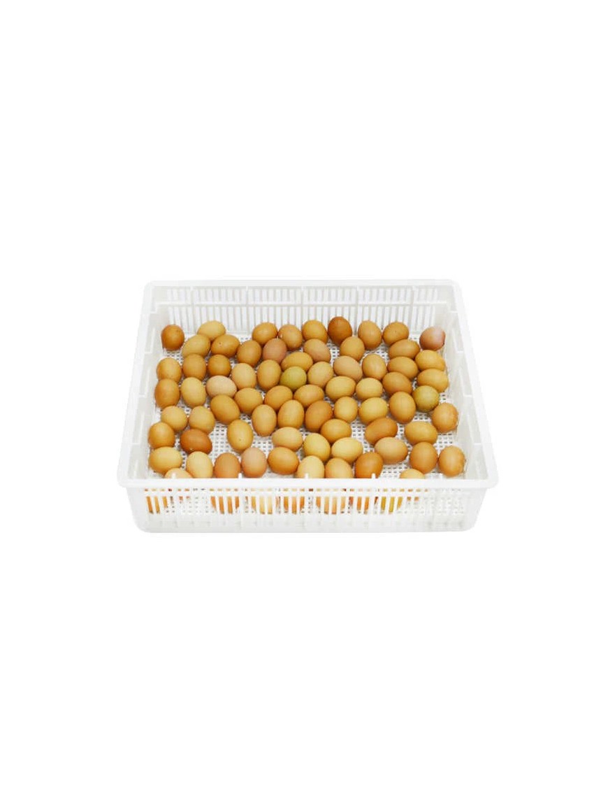 Panier d'éclosion 80 œufs CS80Y - Eggceterra élevage Panier d'éclosion 80 œufs CS80Y - Eggceterra élevage