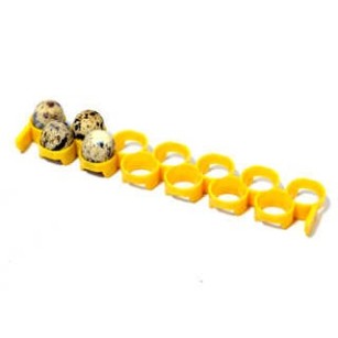 Adaptateur Œufs de Cailles Eggceterra - Élevage Pratique