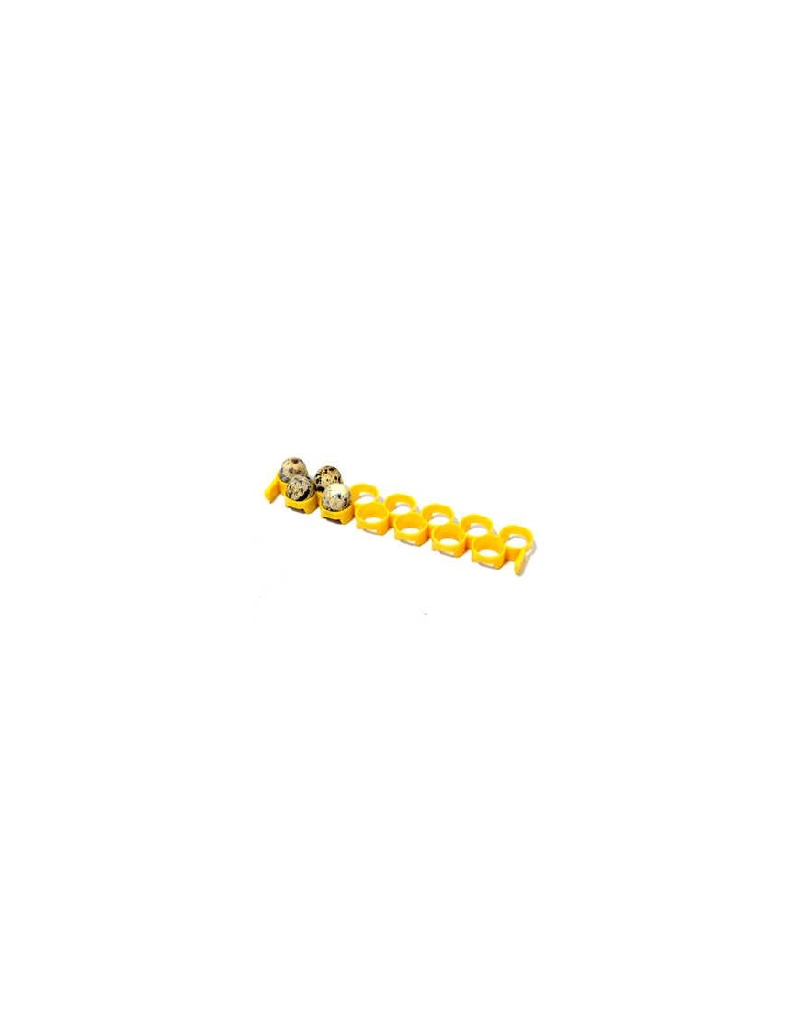 Adaptateur Œufs de Cailles Eggceterra - Élevage Pratique Adaptateur Œufs de Cailles Eggceterra - Élevage Pratique