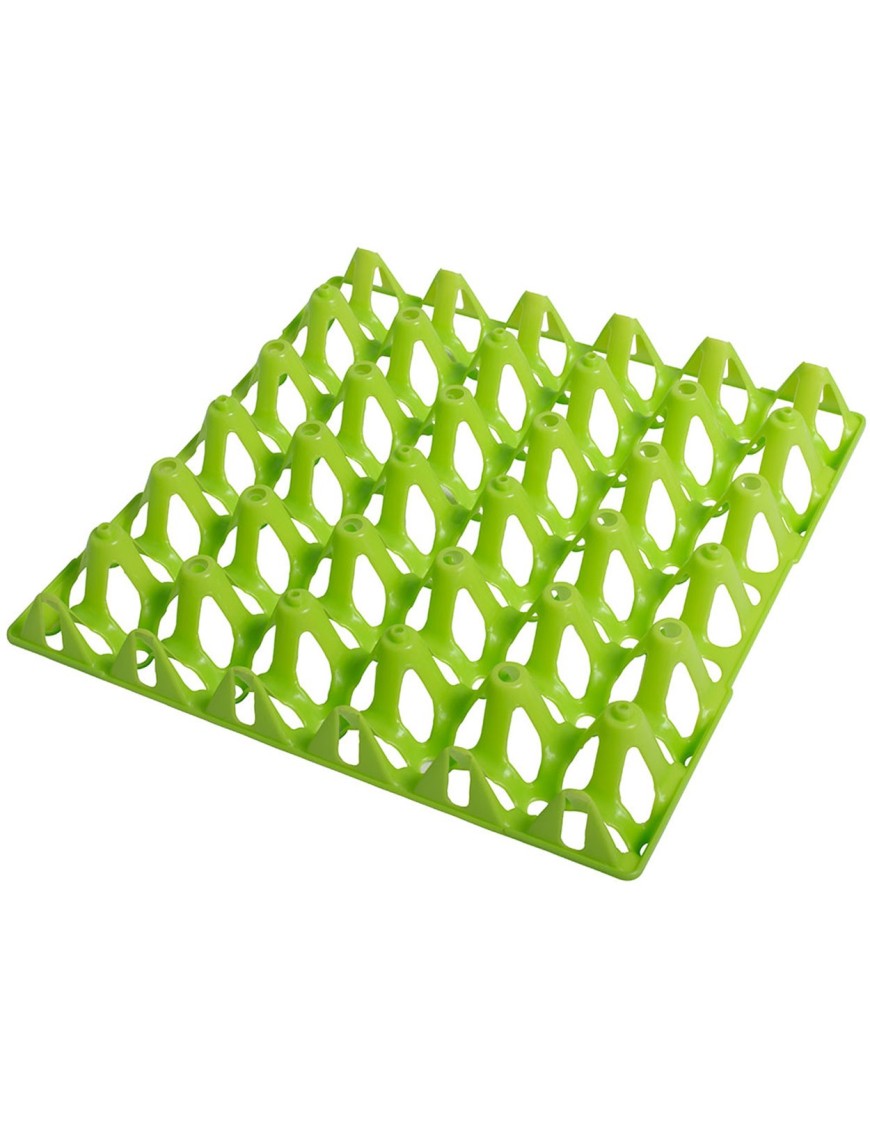 Plateau à œufs 30 pièces - Qualité Eggceterra optimale Plateau à œufs 30 pièces - Qualité Eggceterra optimale