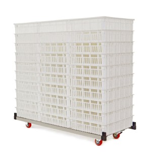 Couveuse T4800SH à Chariot | Eggceterra Élevage