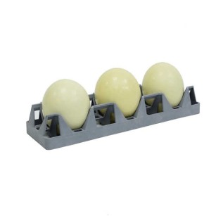 Plateau Incubation 3 Œufs Autruche - Eggceterra Élevage