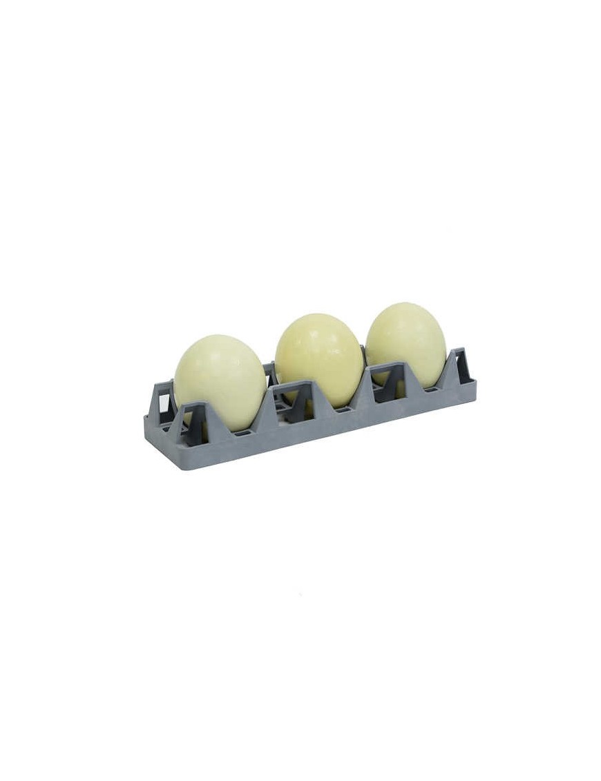 Plateau Incubation 3 Œufs Autruche - Eggceterra Élevage Plateau Incubation 3 Œufs Autruche - Eggceterra Élevage