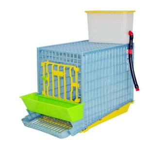 Cage d'élevage perdrix 1 section – Eggceterra élevage
