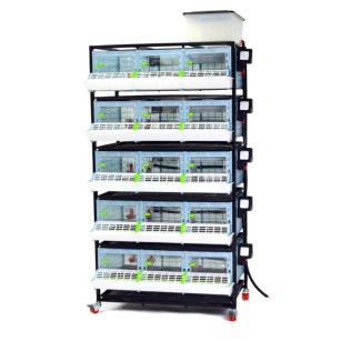 Poussinière 5 étages 25 cm - Eggceterra Élevage Optimal
