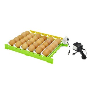 Plateau CNT30 & Adaptateur - Eggceterra Élevage