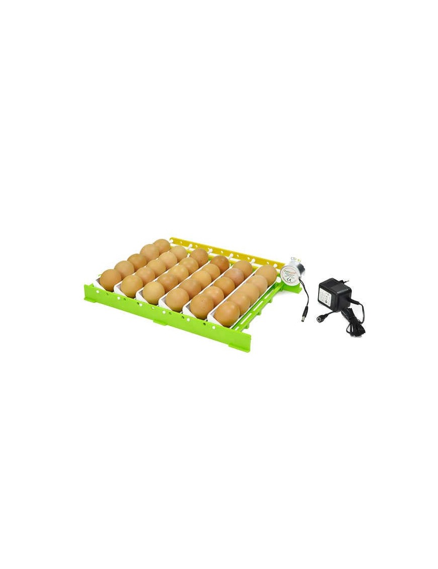 Plateau CNT30 & Adaptateur - Eggceterra Élevage