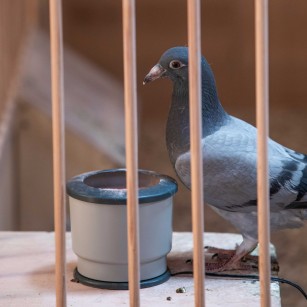Bol chauffant anti-agglomérant pour minéraux Eggceterra