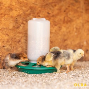 Mangeoire Poussin & Cailles 1kg - Fermeture Sécurisée Eggceterra