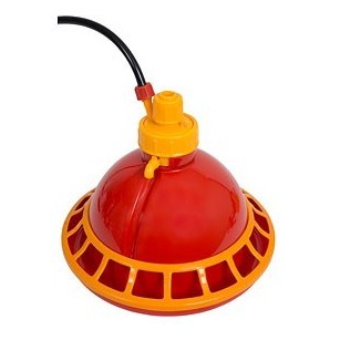 Abreuvoir Automatique Poussins - Eggceterra Élevage