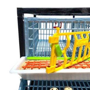 Cage 2 Étages pour Caille Pondeuse - Eggceterra Élevage