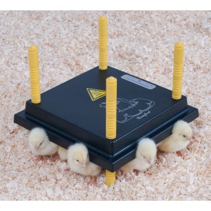 Panneau Chauffant Poussin 25x25 cm | Eggceterra Élevage