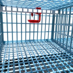 Cage 2 Étages pour Caille Pondeuse - Eggceterra Élevage