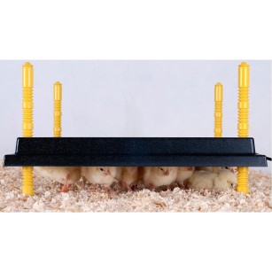 Panneau chauffant poussin 30x30 cm - Eggceterra élevage
