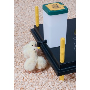 Abreuvoir poussin à pipette - Eggceterra Élevage Expert