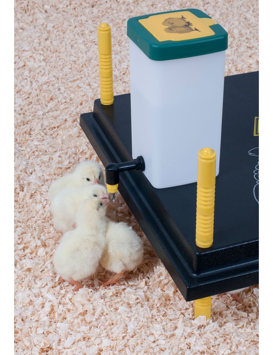 Abreuvoir poussin à pipette - Eggceterra Élevage Expert