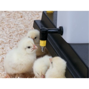 Abreuvoir poussin à pipette - Eggceterra Élevage Expert