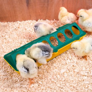 Mangeoire poussin 50cm - 28 Trous | Eggceterra Élevage