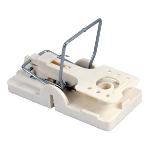 Tapette à souris extra solide | Eggceterra élevage