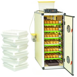 Couveuse CT180SH Eggceterra - Élevage Automatique Efficace