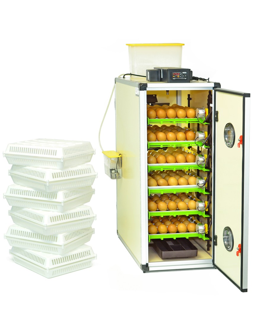 Couveuse CT180SH Eggceterra - Élevage Automatique Efficace