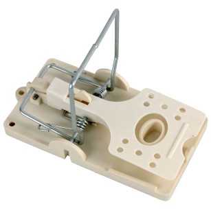 Tapette à Rat Ultra Solide - Eggceterra Élevage Expert