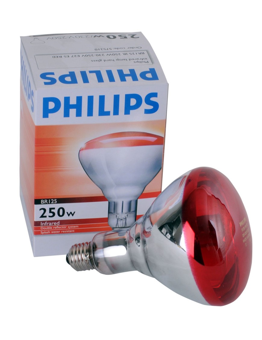 Lampe Infrarouge 250W Philips - Eggceterra Élevage Lampe Infrarouge 250W Philips - Eggceterra Élevage