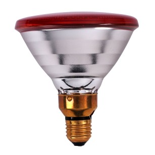 Ampoule Infrarouge 100W Philips pour Élevage - Eggceterra