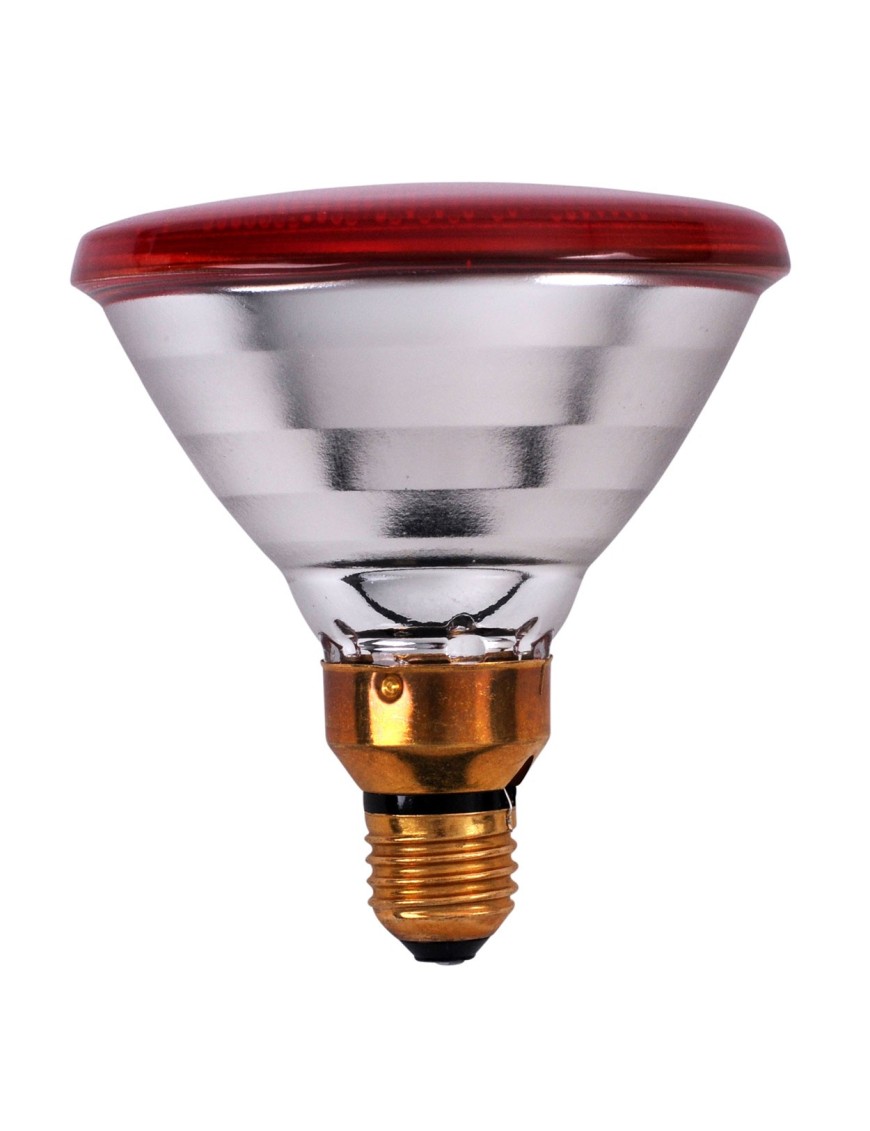 Ampoule Infrarouge 100W Philips pour Élevage - Eggceterra Ampoule Infrarouge 100W Philips pour Élevage - Eggceterra