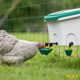Abreuvoir poule 8L AviAqua avec godets flotteur