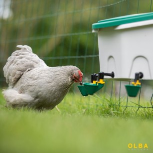 Abreuvoir poule 8L AviAqua avec godets flotteur