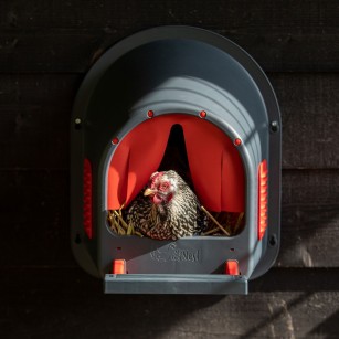 Pondoir MyCosyNest Rouge | Eggceterra élevage expert