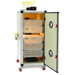 Eclosoir HB175H - Incubateur Haut de Gamme | Eggceterra