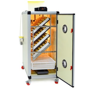Couveuse automatique HB350C | Eggceterra élevage optimisé