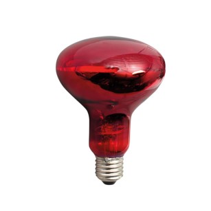 Ampoule chauffante infrarouge Powerheat 100W - Eggceterra