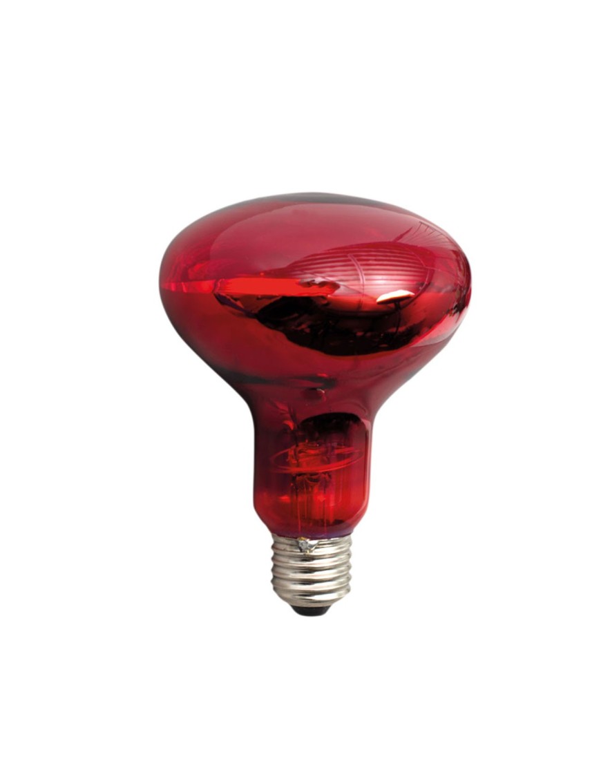 Ampoule chauffante infrarouge Powerheat 100W - Eggceterra Ampoule chauffante infrarouge Powerheat 100W - Eggceterra