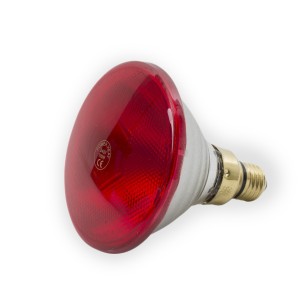 Ampoule infrarouge Powerheat 100W - Eggceterra élevage
