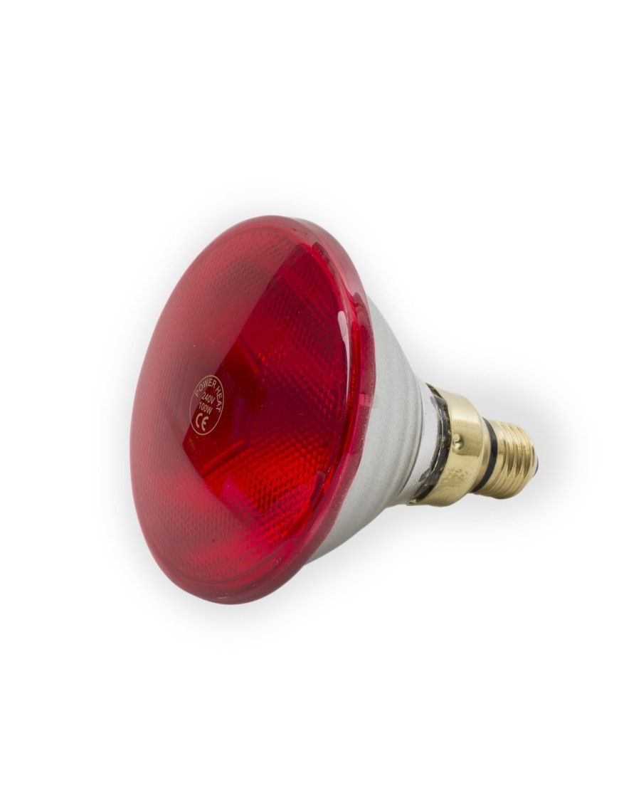 Ampoule infrarouge Powerheat 100W - Eggceterra élevage