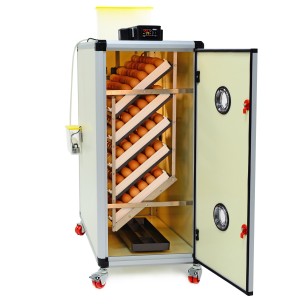 Couveuse automatique HB350S - Élevage facile | Eggceterra