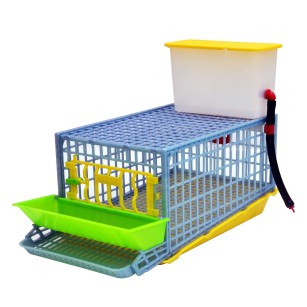Cage Cailles Pondeuses 1 Section - Qualité Eggceterra